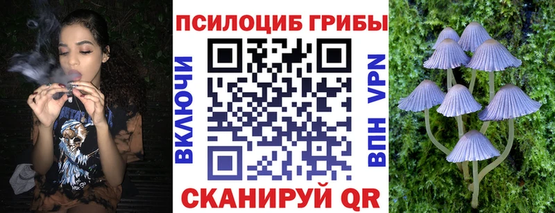 Галлюциногенные грибы прущие грибы  Купить где  Южно-Сахалинск 